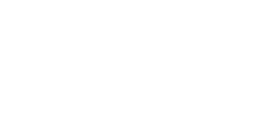 MSN LOGO